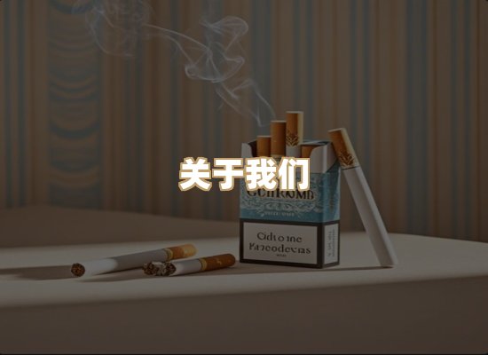 关于蓝帝网